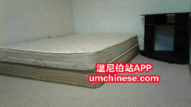 204004t2shvsvpprxrpb2l.jpg