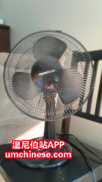 204609rinf0uer4h838ffe.jpg