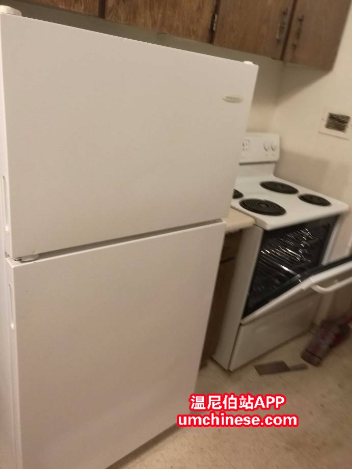 165458kr8cp5j88uddjjr5.jpg