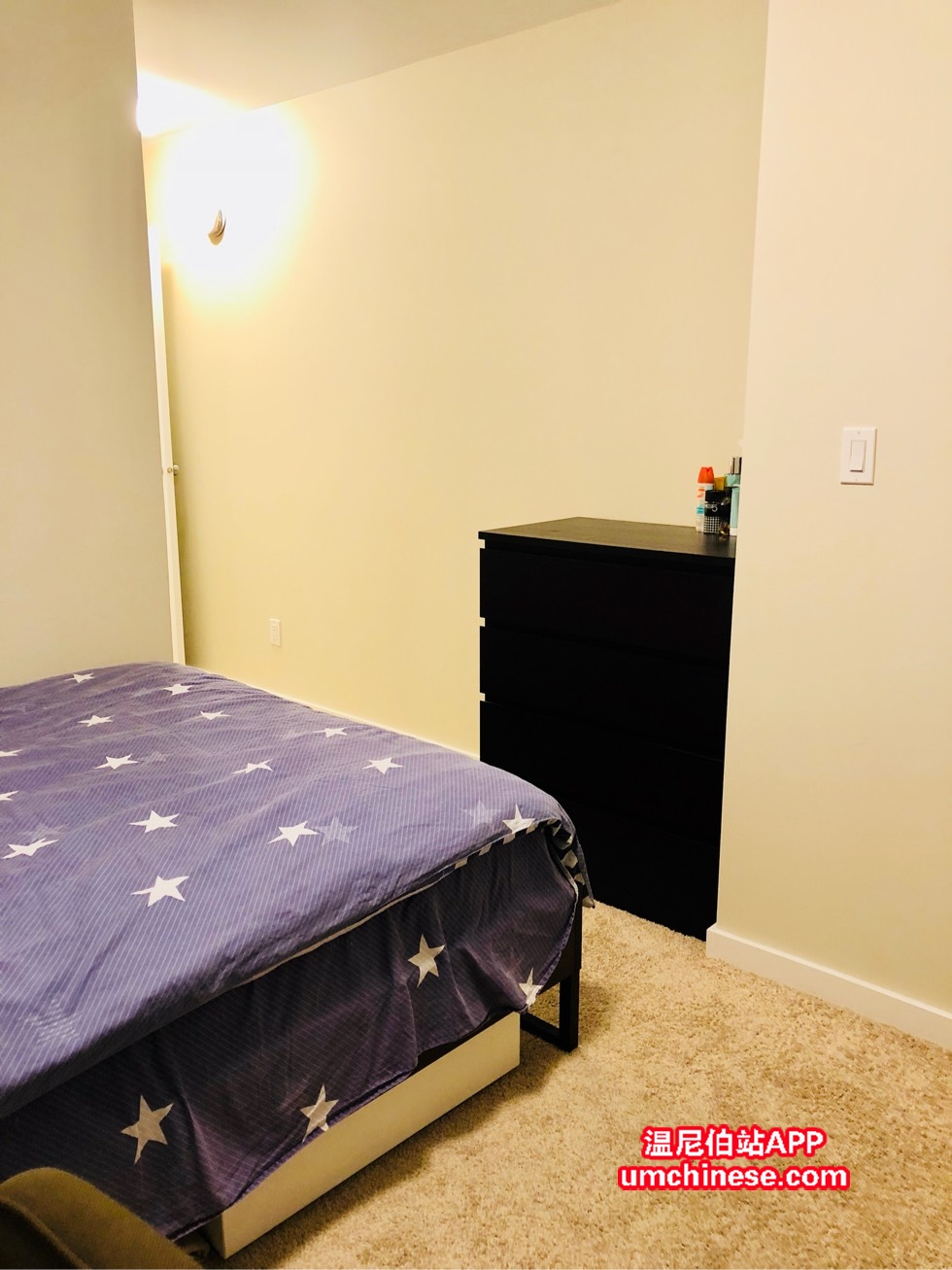 192512oo4ojo42aiioi55c.jpg