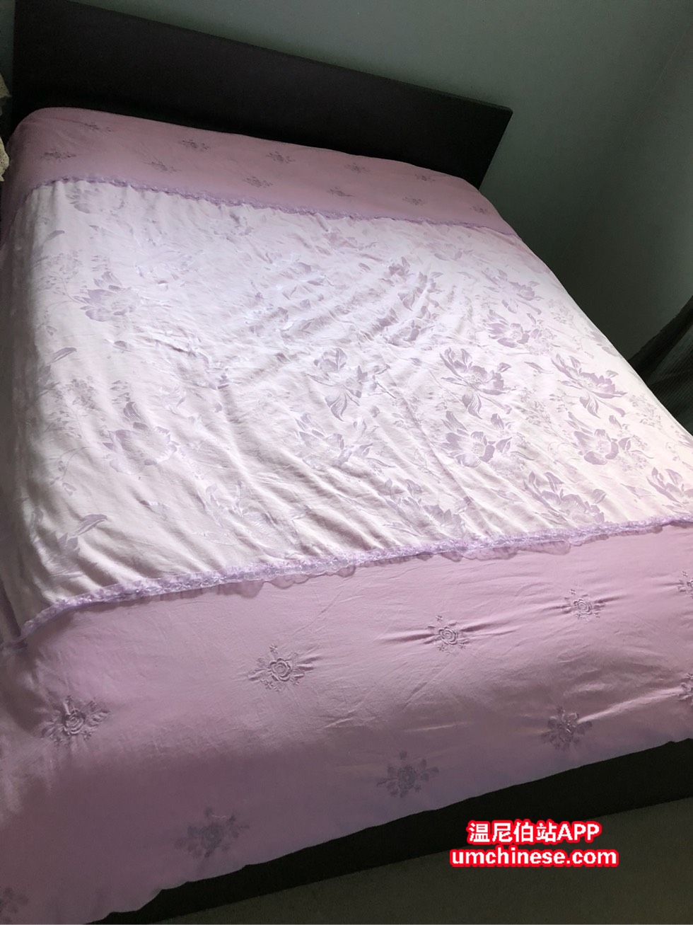 131704pj191javej5hjjz1.jpg