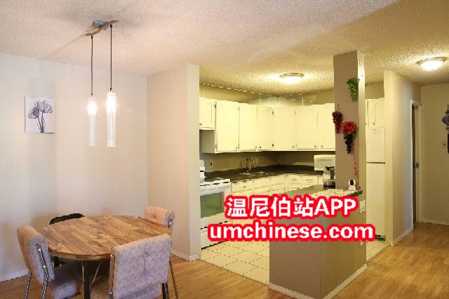 220158d3wt1c4w34tablwt.jpg