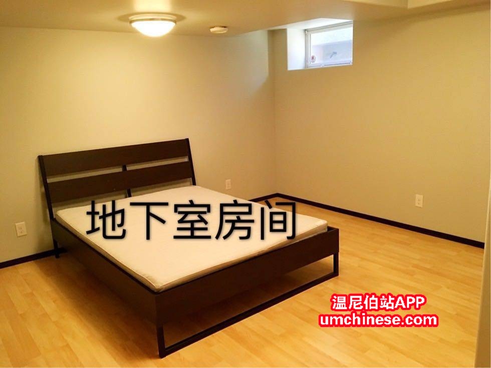 003156fb00ab779ivs9zev.jpg