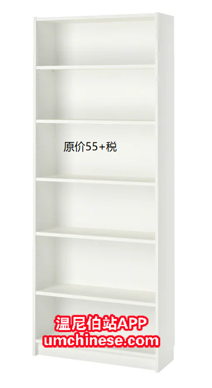 bookcase 55 c.PNG